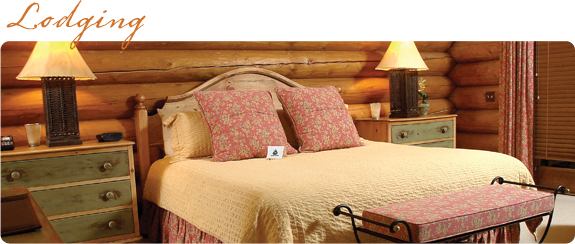 Lodging
